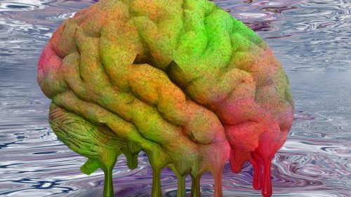 LSD Brings Your Brain to the Edge of Chaos