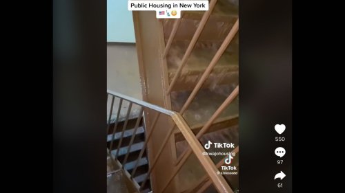 This TikToker Is Highlighting Horrifying Conditions in NYC Public Housing