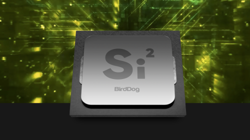 New BirdDog Silicon 2 firmware announced for all cameras