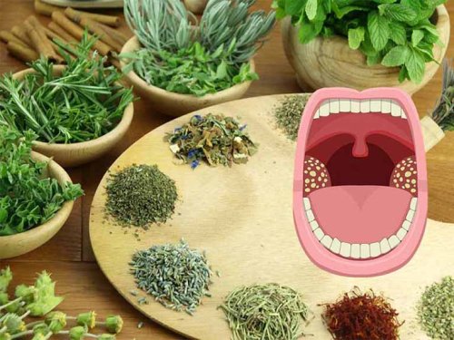 10+ cách trị viêm amidan dân gian tại nhà từ thảo dược chọn lọc