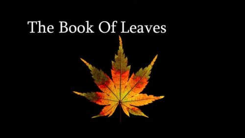The Book of Leaves: A Beautiful Stop Motion Film Featuring 12,000 Pressed Leaves