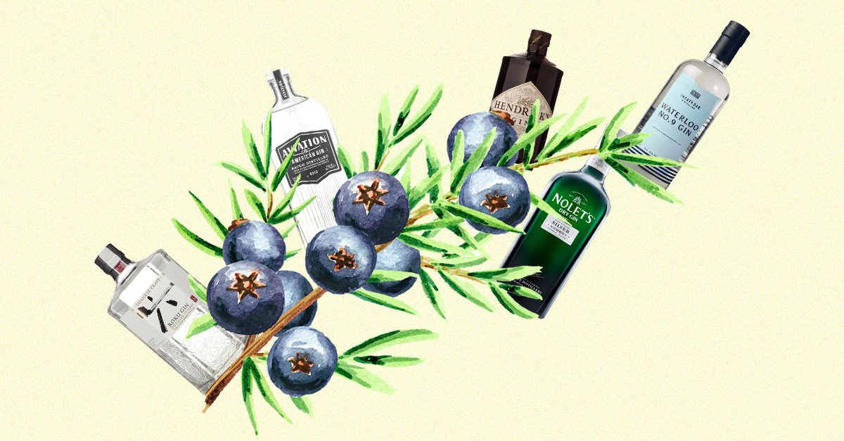 A Field Guide to New Western Dry Gin — From Balance to Botanicals to Brands