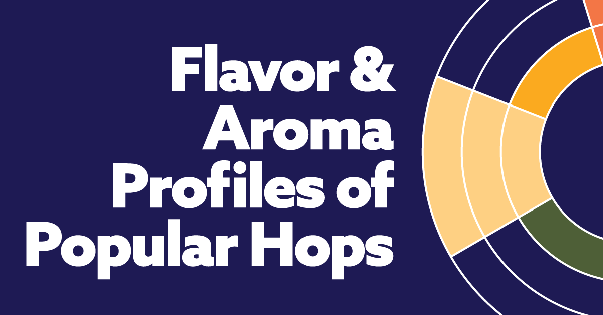 The Flavors & Aromas in Craft Beer's Popular Hops (Infographic)