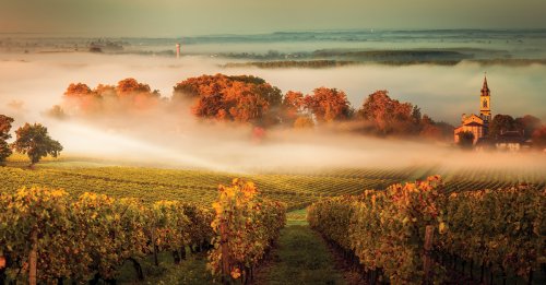Wine 101: Staff Pick: Bordeaux (Season 1)