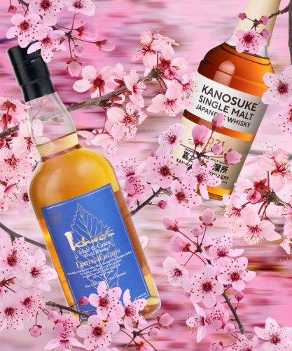 The 14 Best Japanese Whiskies for 2023