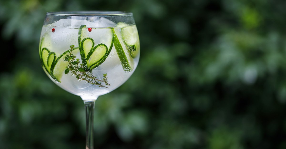 The 15 Best Gins for Gin and Tonics (2022)