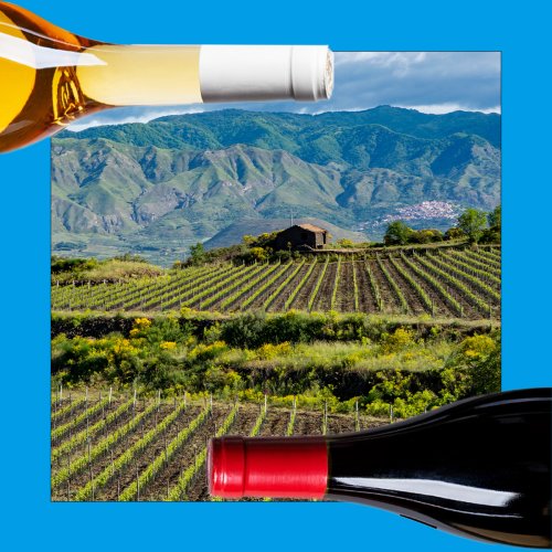 10 of the Best White Wines From Sicily's Mount Etna