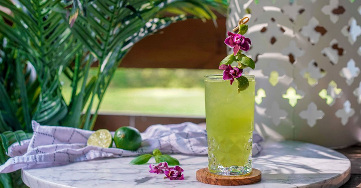10 of the Best Summer Gin Highball Recipes