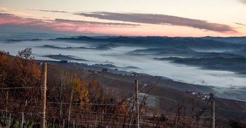 Meet the Young Winemakers Championing Barolo's New Wave