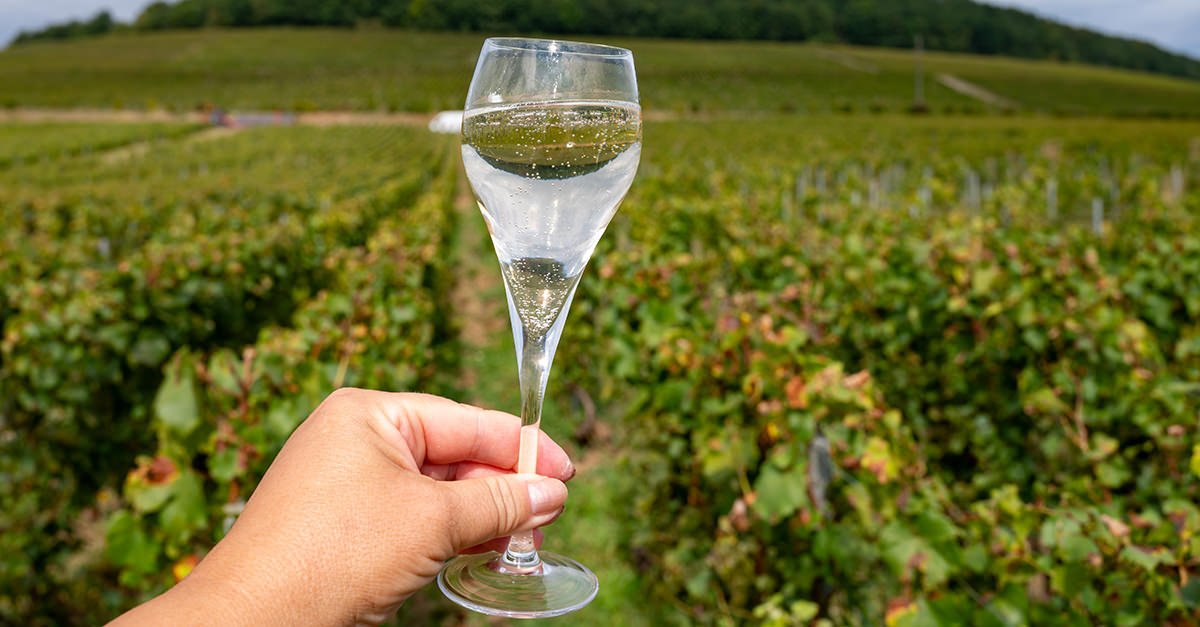 President Trump Lashes Back at EU With Threat of 200% Tariff on Wine, Champagne, and Spirits