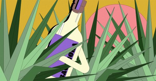 Bacanora, the Lesser-Known Agave Spirit, Is Finally Getting Its Moment in the Spotlight