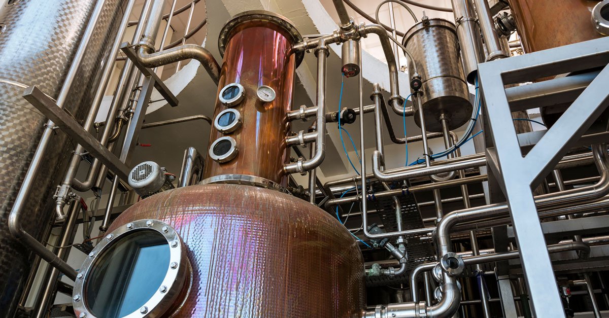 What’s Fueling the Rise of Scottish Gin?