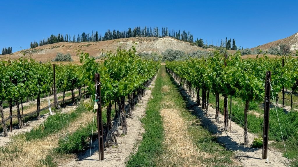 Checking in on Idaho