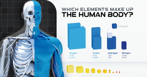 The Elemental Composition of the Human Body