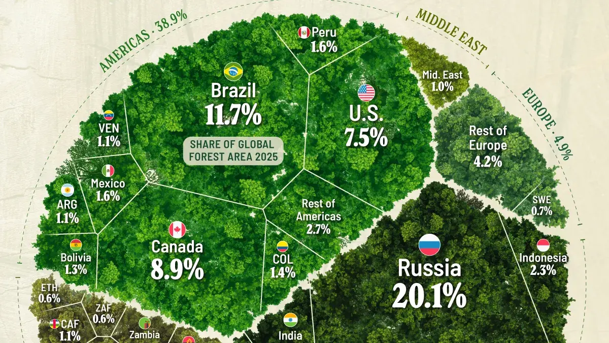 Ranked: How the World’s Forests Are Divided