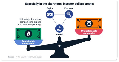 Visualized: The Power of a Sustainable Investment Dollar