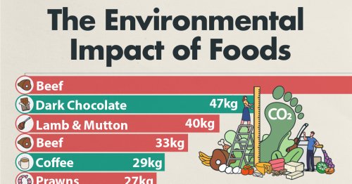 Ranked: The Foods With the Largest Environmental Impact