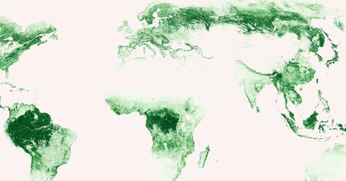 Mapping the World’s Forests: How Green is Our Globe?