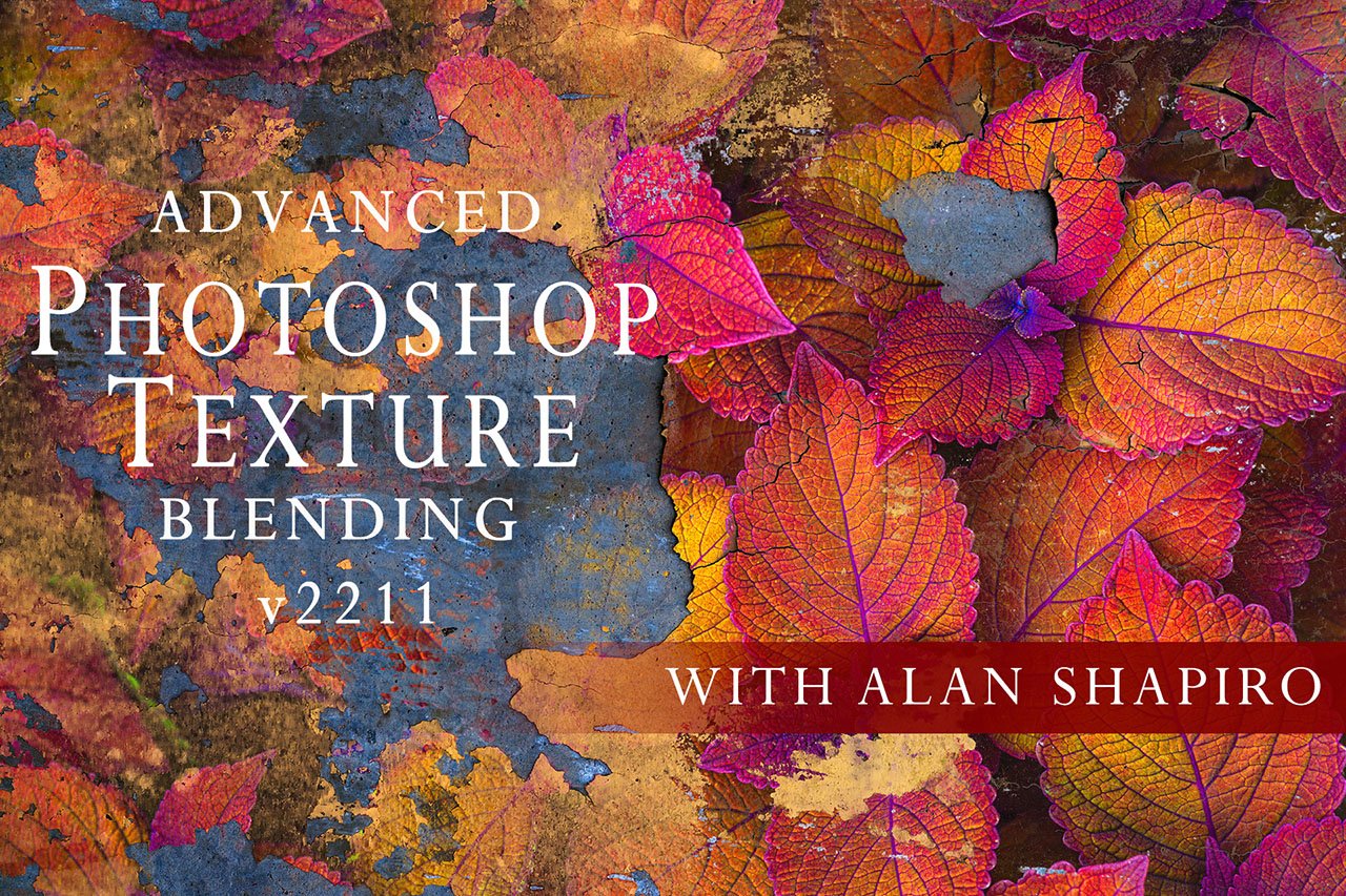 Advanced Photoshop Texture Blending - Visual Wilderness