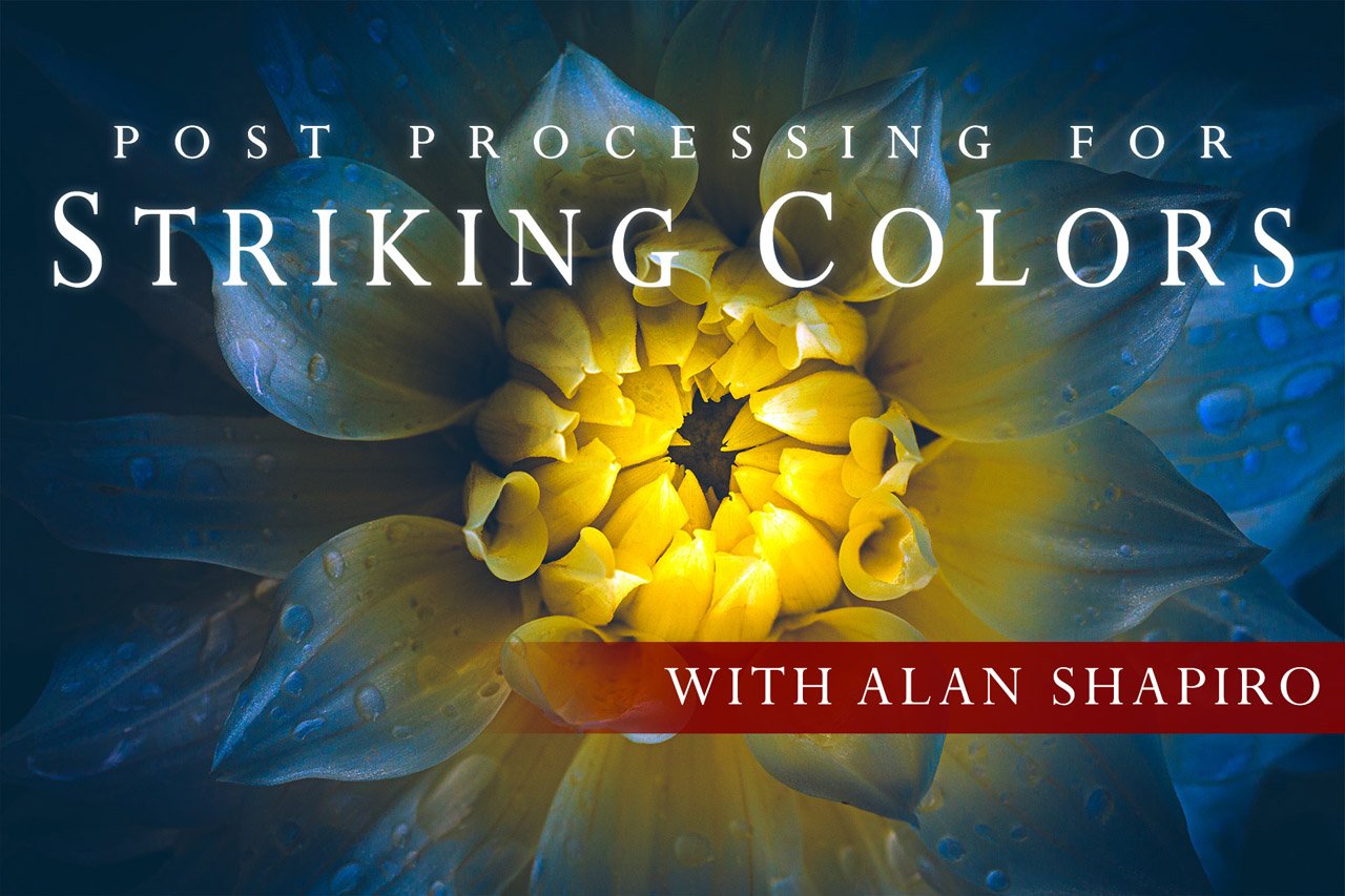 Post Processing for Striking Colors - Visual Wilderness