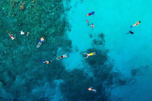 Where to Find The Best Snorkeling Around Miami