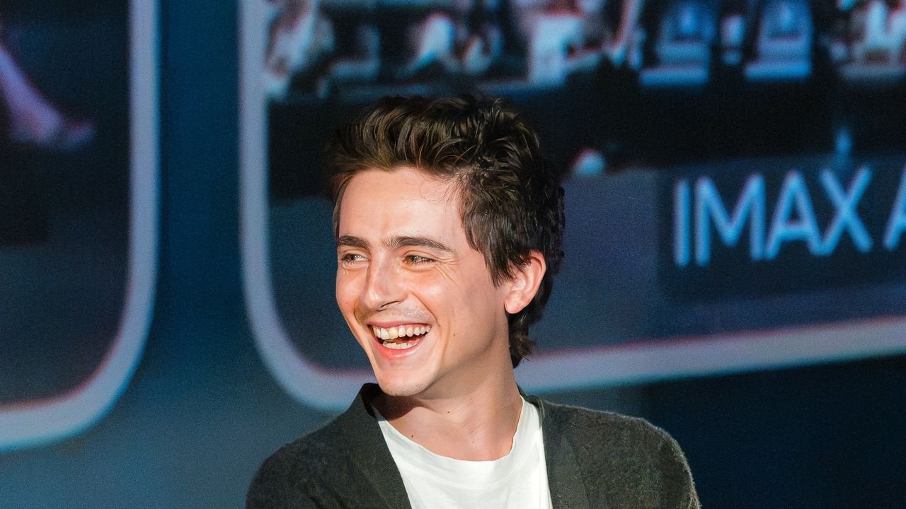 Timothée Chalamet’s Call Me by Your Name Hair Is Back in Time for Summer
