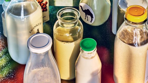 Should Adults Drink Milk?