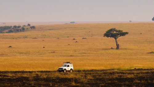 Two Luxurious Ways to Safari in Kenya