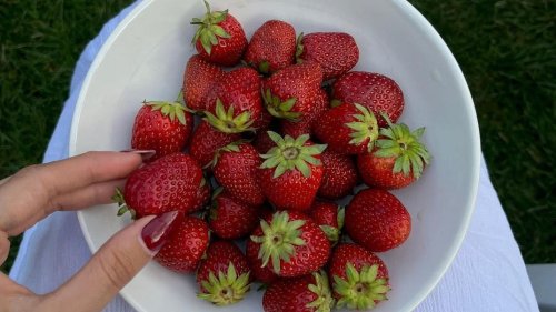 Petit-déjeuner : depuis que je mange ces trois ingrédients anti-inflammatoires le matin, je me sens plus légère et rassasiée