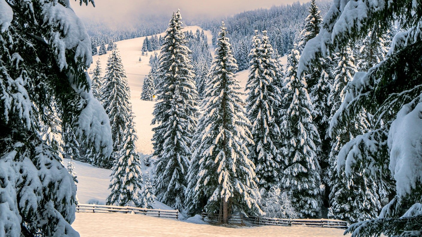 3 idées de séjours qui vont vous donner envie de partir à la montagne cet hiver - que vous aimiez le ski ou non