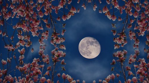 Luna Piena del Lombrico (+ eclissi lunare parziale), 25 marzo 2024: inutile nascondere la polvere sotto il tappeto