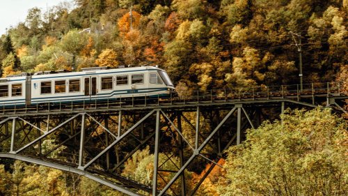 A bordo del Treno del Foliage: quattro ore immersi nell’incanto delle foreste d'autunno. Le date di un'esperienza da non perdere