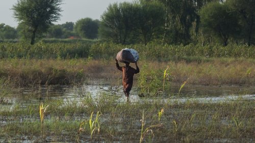Can regenerative agriculture help farmers face climate change?