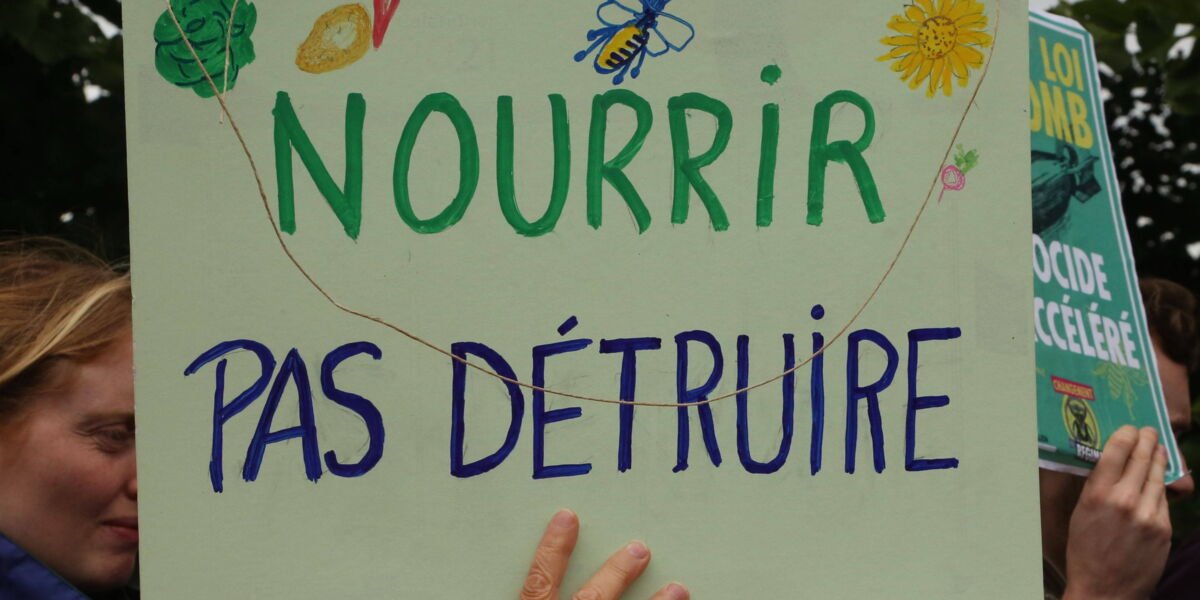 Éléonore Pattery : qui est celle qui est à l’origine de la pétition contre la loi Duplomb qui explose tous les records ?