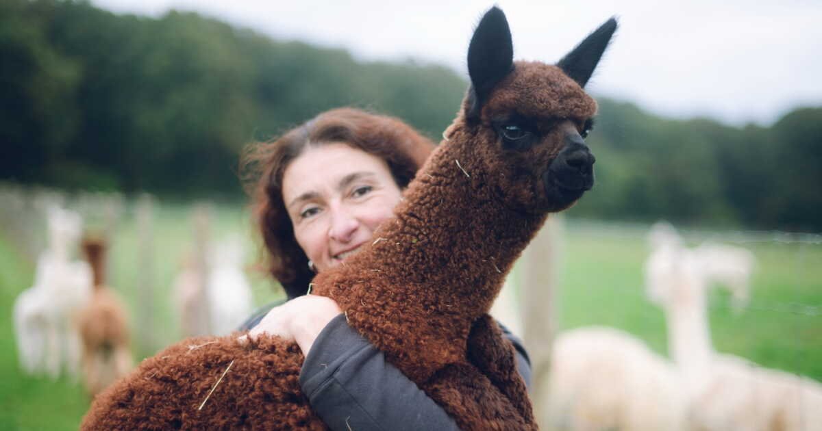 L’amour est dans le pré : le générique de l’émission spoile-t-il trop les aventures des agriculteurs de la saison 20 ?