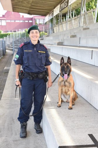 Polizeidiensthund "Safira" spürt Einbrecher auf