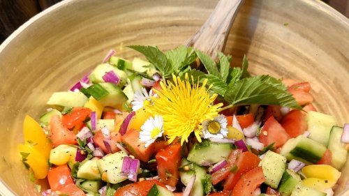 Çoban Salatası – Türkischer Hirtensalat mit Giersch statt Petersilie