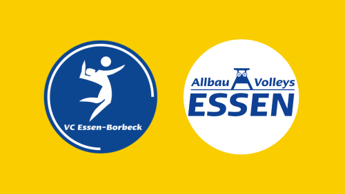 Darum gibt VC Essen-Borbeck Bundesliga-Standort auf