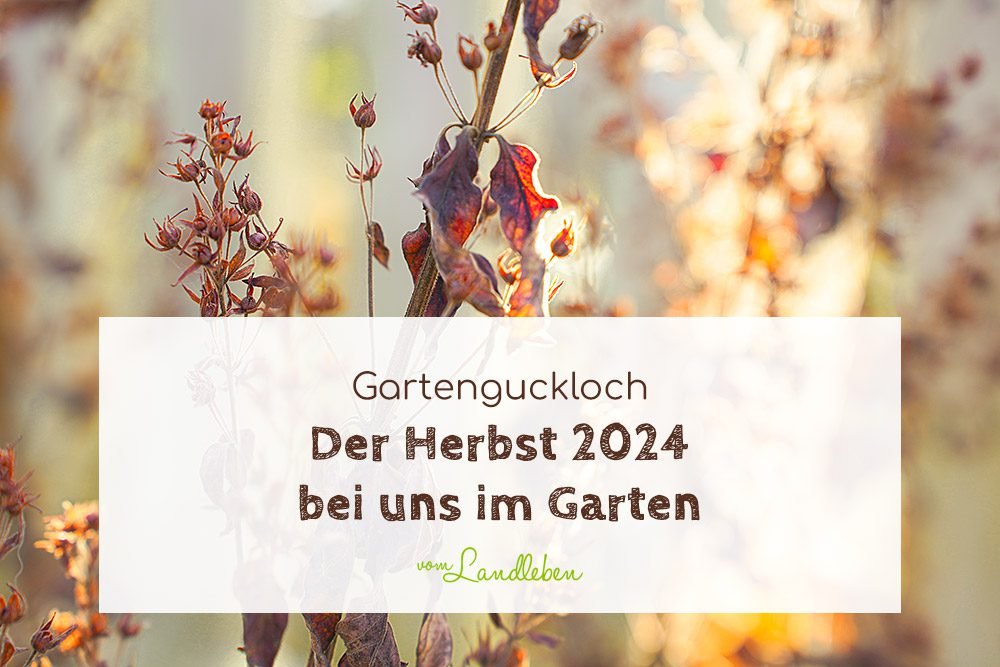 Der Herbst 2024 in unserem Garten | vom Landleben