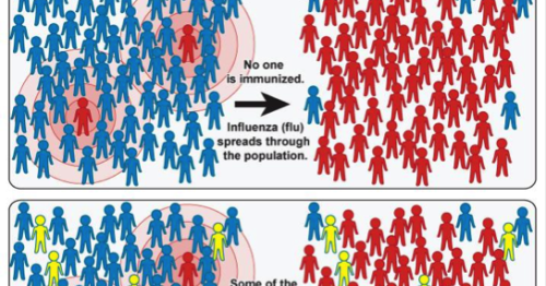 What happens when some people don’t get vaccinated?