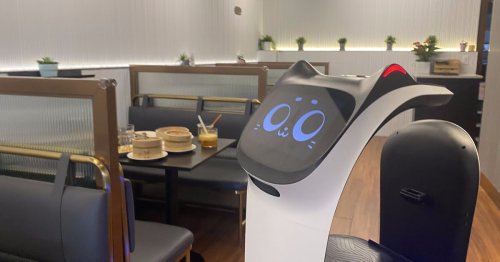 Robot Cat Servers Are Descending on NYC Dim Sum Parlors