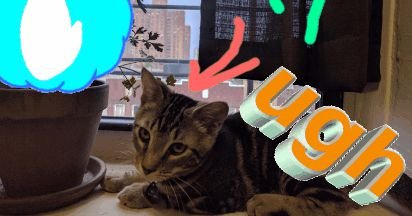 Giphy now lets you create ridiculous GIFs on mobile without an app
