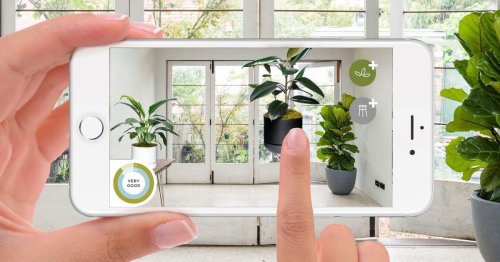 New AR app helps you choose houseplants for improving air quality