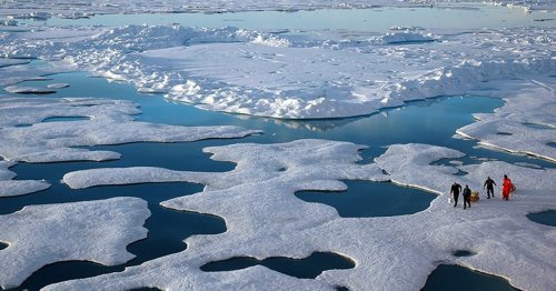 Arctic will be basically ice-free by summer 2050, NOAA study says