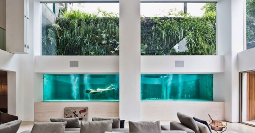 Dramatic apartment renovation puts glass pool center stage
