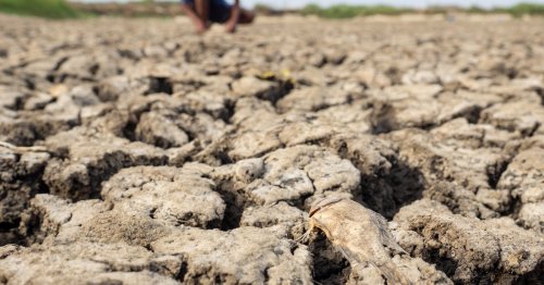 El Niño expected to smash heat records in 2024