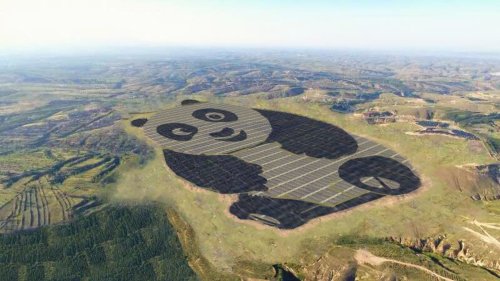 China just built a solar power array that looks like a panda