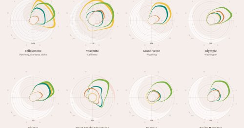 Check out some of the best data visualizations from the Information is Beautiful awards