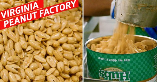 How a Commercial Peanut Farmer Uses 100-Year-Old Methods