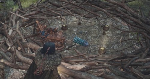 Where to get portcrystals in Dragon’s Dogma 2 and the best locations to place them